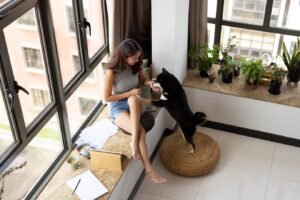 Pet-friendly corporate housing in Los Angeles - Find a temporary home that welcomes both you and your furry companions with open arms.